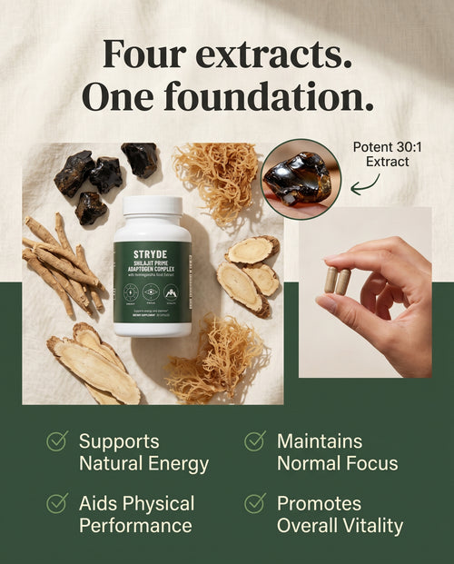 Shilajit Prime Adaptogen Complex