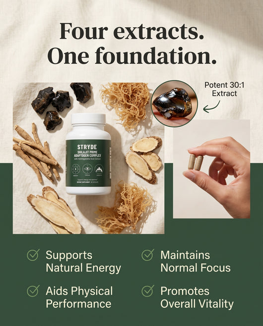 Shilajit Prime Adaptogen Complex